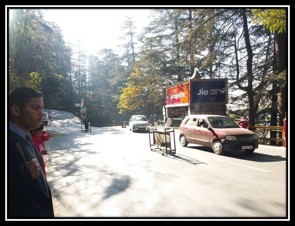 Tolant, Shimla