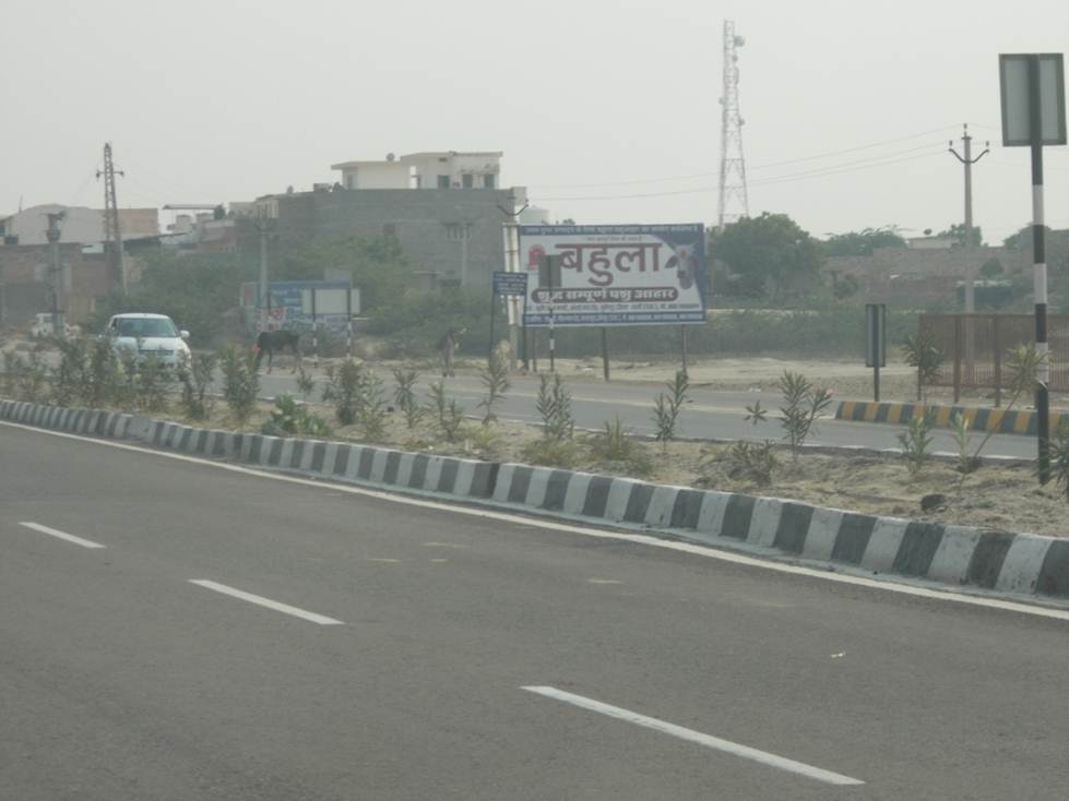 Rohet, Jodhpur