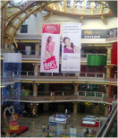 Dangler in Celebration mall both side